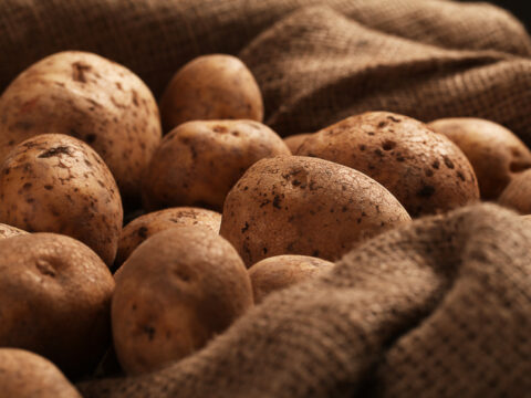 World of Idaho Potatoes